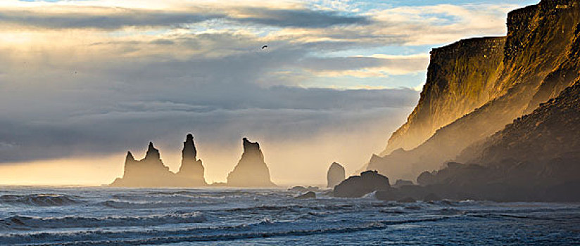 冰岛,石头,海洋,气氛,亮光,水,大西洋,云,海岸,鸟