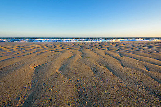 沙,北海,海滩,早晨,荷兰