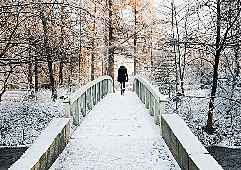 女人,穿过,积雪,桥,后视图