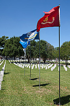 路易斯安那,胭脂,国家,墓地,1867年,海军,军事,旗帜