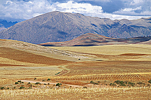秘鲁,印加,山谷,乌鲁班巴河谷,土地