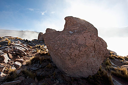 石头,正面,厄尔塔迪奥,间歇泉,遮盖,雾,黎明,安托法加斯塔大区,智利