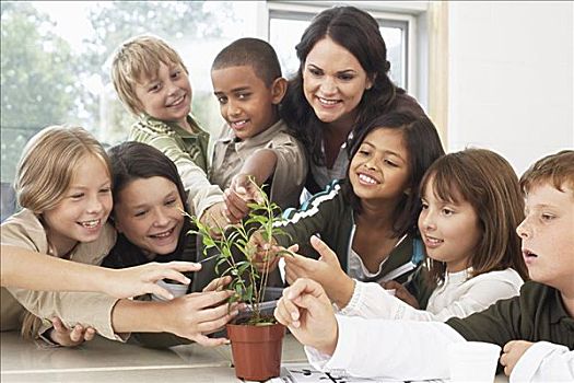 学生,教师,植物,教室