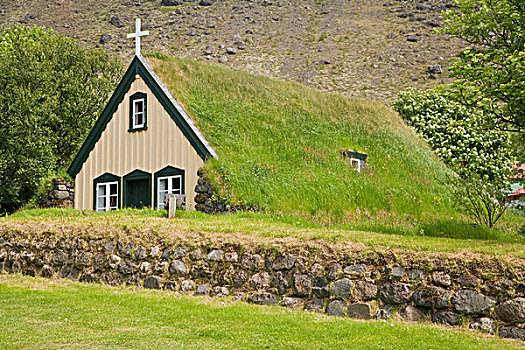 老,教堂,冰岛,屋顶,草