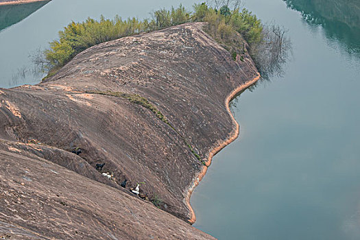 山,丹霞,山羊,羊,黑山羊,驴友,旅行,地质公园,丹霞地貌,灌木,树,草,水潭,素材,平面设计