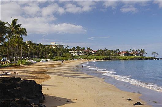 夏威夷,毛伊岛,海滩,胜地,棕榈树,排列,热带沙滩