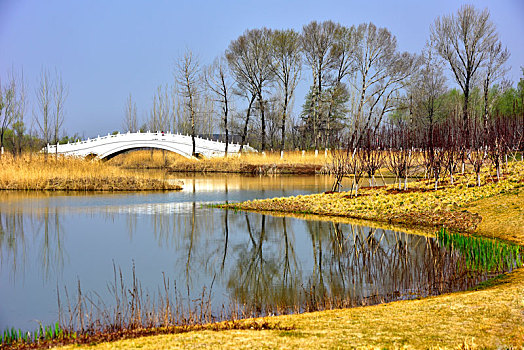 长治湿地