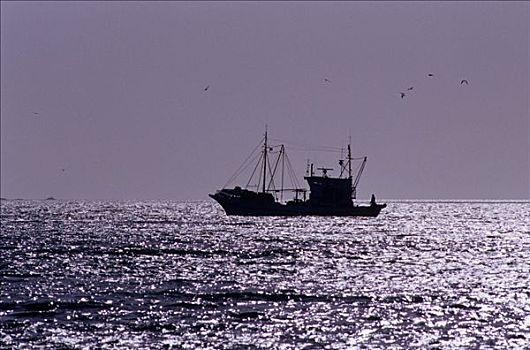 渔船,正面,岛屿,帕罗斯岛,希腊,欧洲