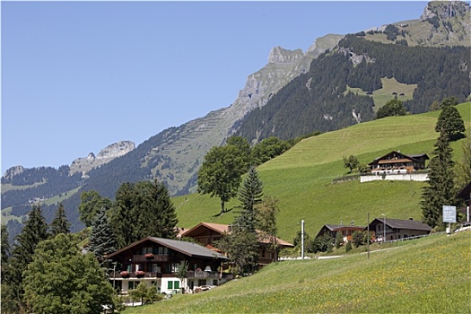 瑞士,木房子,阿尔卑斯山