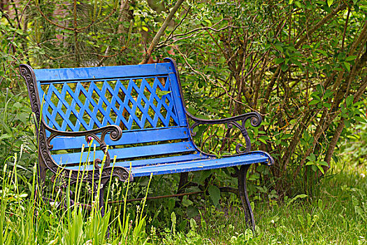 蓝色,公园长椅,花园,乡村,新生,达斯,费施兰德-达斯-茨因斯特,梅克伦堡前波莫瑞州,德国