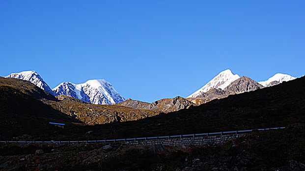 又见雅家埂