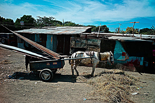 尼加拉瓜,马车,工业,废物处理,场所