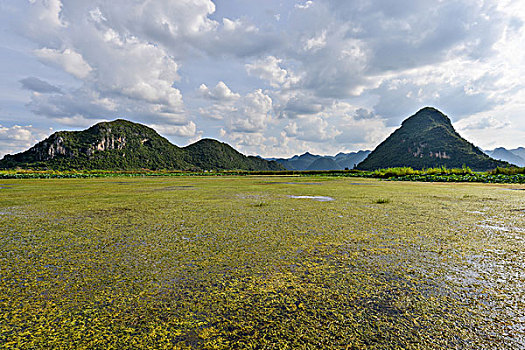 湿地与山脉