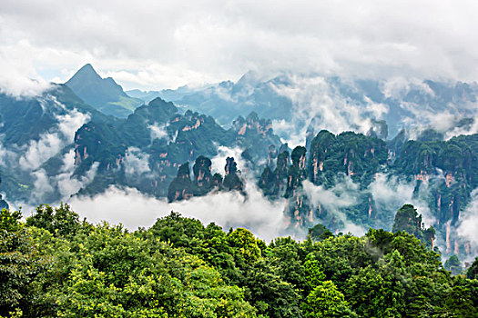 湖南,张家界,峰林,云雾