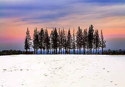 雪景