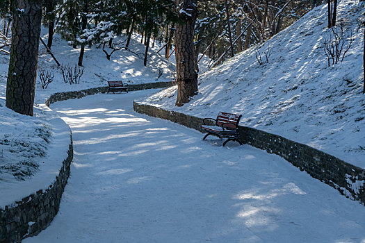 颐和园雪霁,后山