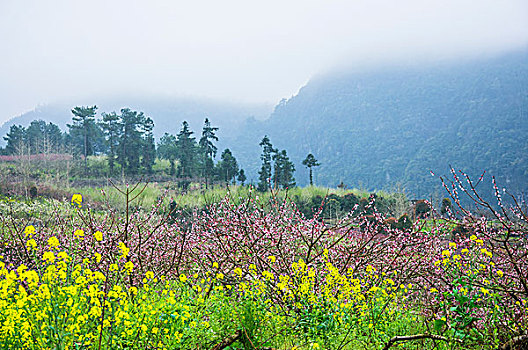 田园春色