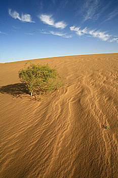中国最美沙漠--巴丹吉林沙漠