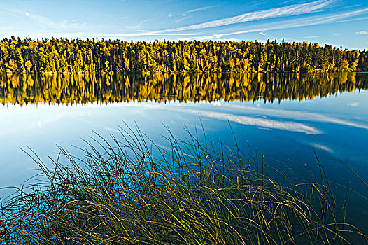 秋天,湖,靠近,安大略省,加拿大