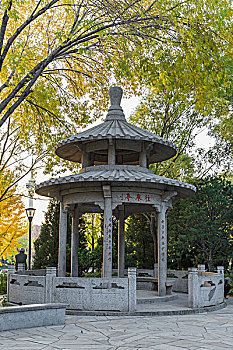 北京玲珑公园的亭子