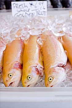 新鲜,金色,鲑鱼,冰,市场
