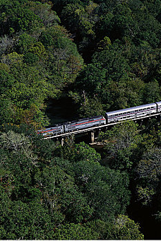 客运列车,穿过,黑色,溪流,靠近,杰克逊维尔,佛罗里达,美国