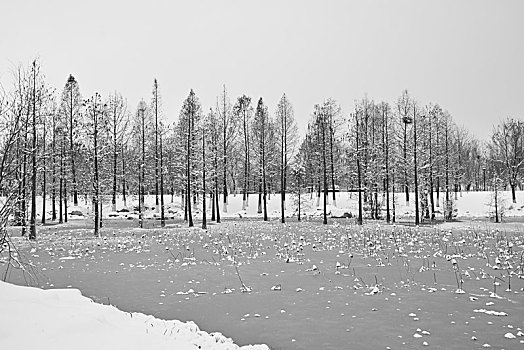 雪景