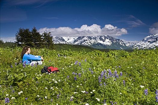 女人,坐,野花,享受,科奈山地,湖,小路,靠近,阿拉斯加