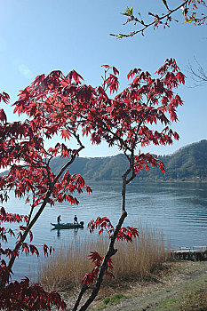日本河口湖风光