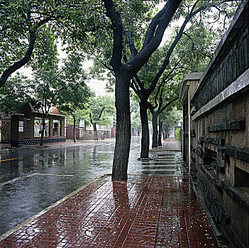 天津,五大道,天津小洋楼,天津租界,睦南道,雨后街景