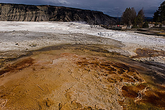 黄石国家公园,yellowstonenationalpark