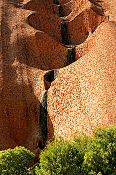 特写,乌卢鲁巨石,艾尔斯岩,乌卢鲁国家公园,北领地州,澳大利亚