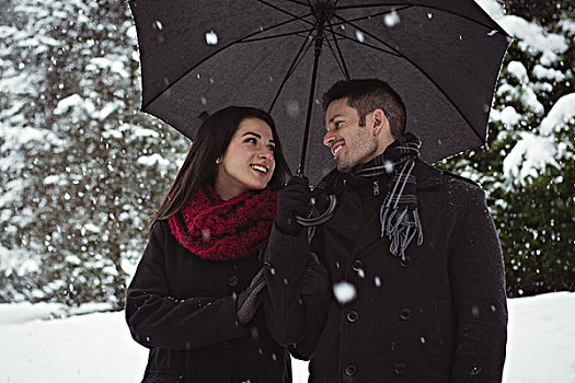 微笑,情侣,伞,站立,树林,下雪