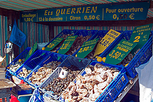牡蛎,板条箱,海鲜,市场,布列塔尼半岛,法国