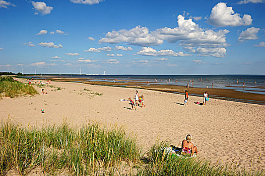 沙滩,萨尔瑞迈,爱沙尼亚,欧洲