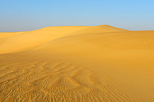 俯视,沙丘,沙子,海洋,利比亚沙漠,撒哈拉沙漠,埃及,北非,非洲