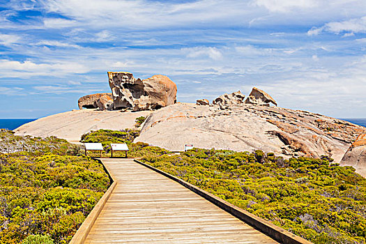 石头,袋鼠,岛屿,南澳大利亚州