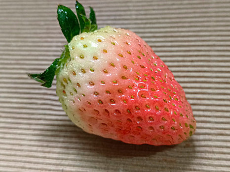 淡雪白草莓,草莓