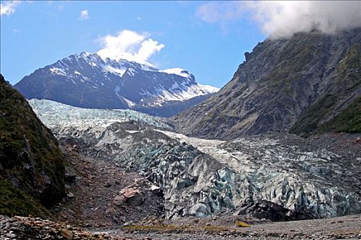 福克斯冰川,南阿尔卑斯山,南岛,新西兰