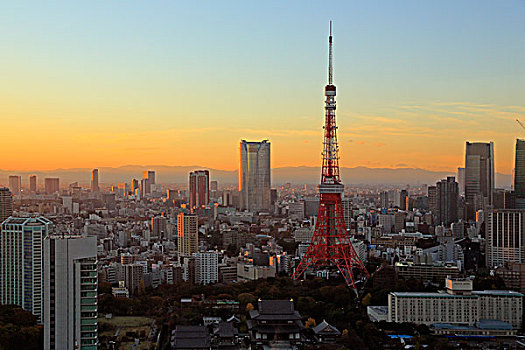 晚间,风景,东京塔,世贸中心,建筑