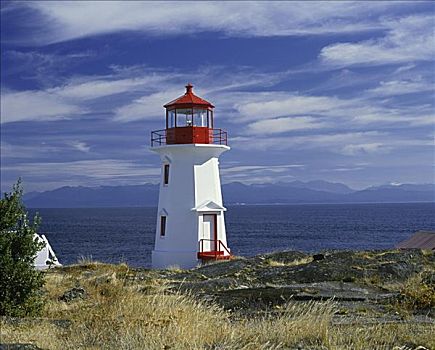 岛屿,灯塔,不列颠哥伦比亚省,加拿大