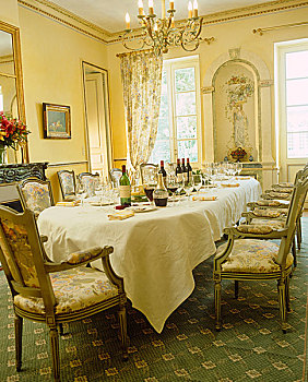 长,桌子,软垫,椅子,奢华,餐厅
