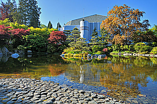 日本,花园,黑斯廷斯,公园,温哥华,不列颠哥伦比亚省,加拿大