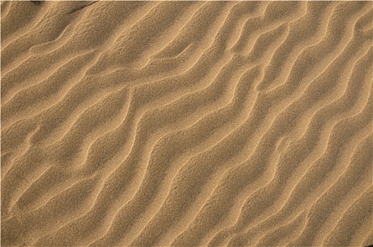 沙丘,纹理