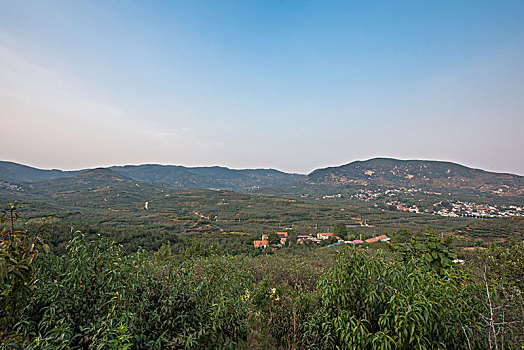 山东沂蒙山区的山村果园