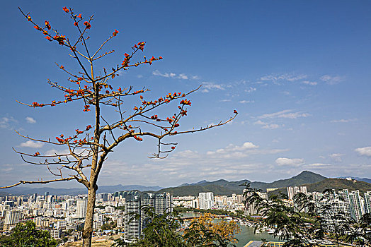 俯瞰滨海城市