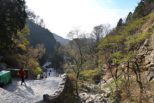 泰山景观