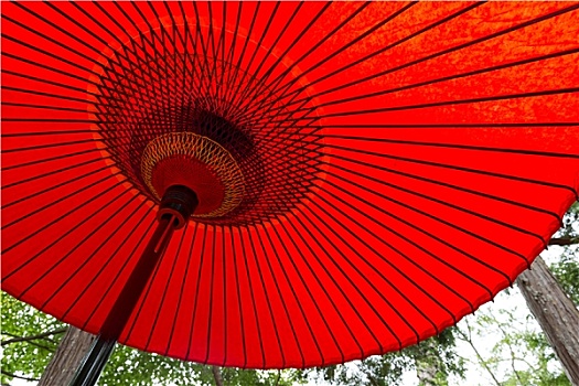 日本传统,红色,伞