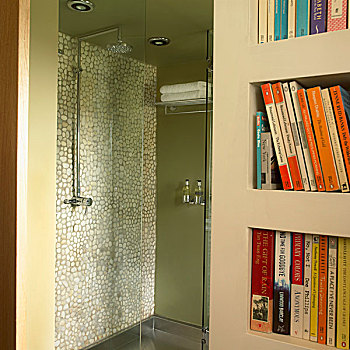 绿色,浴间,图案,瓷砖墙壁,玻璃门,靠近,书架