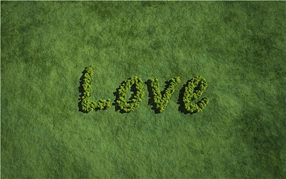 喜爱,创作,树,草,背景